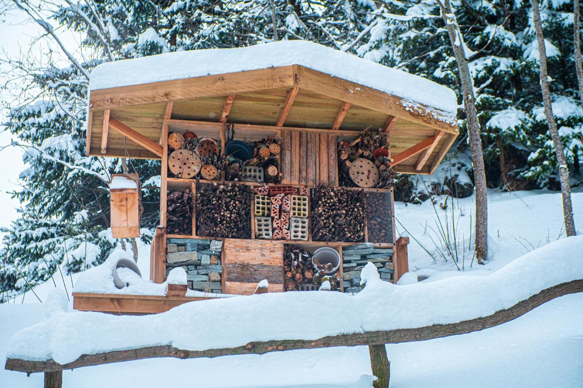 Luxury tent Altipik - Insolites Mont-Saxonnex